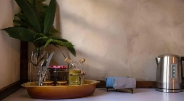 Студия Casa Botanica