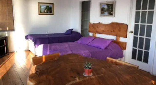 Pingüino en la roca - Concón, Buchen Sie Hotel Concon Valparaiso