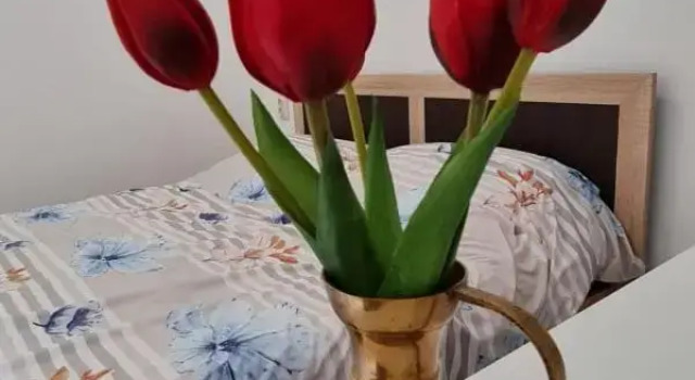 Studio Pico, Varaa Hotelli Cluj-Napoca 