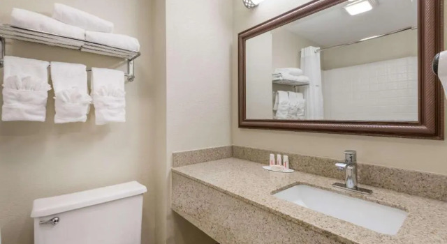 Номер Business Baymont by Wyndham Georgetown Lexington North