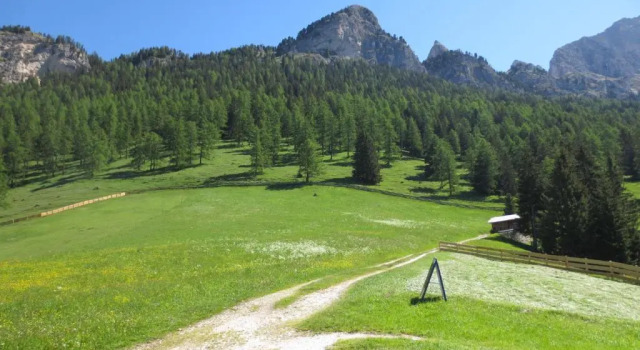 Номер Standard Plafötschalm