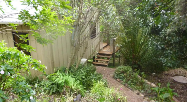 Шале Waiheke Island Punga Lodge