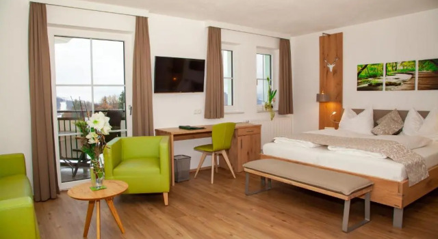 Номер Deluxe Hotel Irmgard