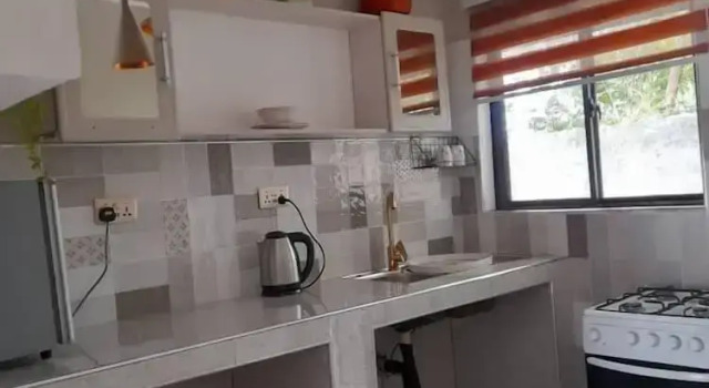 Ambassador studio Hideaway Apartments