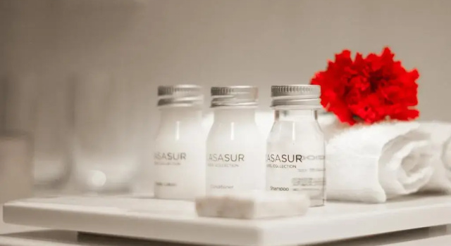 Люкс Deluxe CasaSur Palermo Hotel
