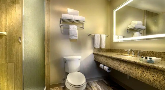 Двухместная студия Hotel Maison Yakima Tapestry Collection by Hilton
