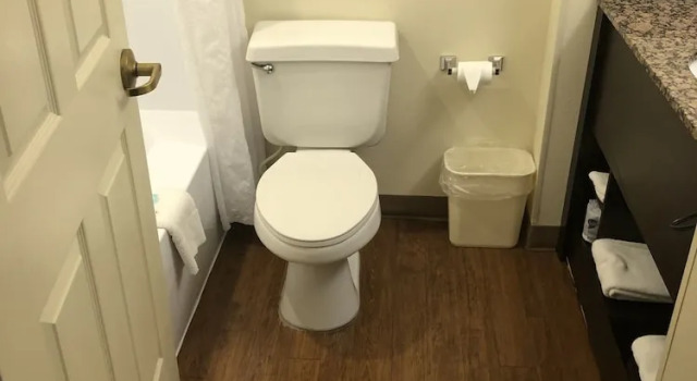 Четырёхместный люкс Standard LeConte Hotel & Convention Center, an Ascend Collection Hotel