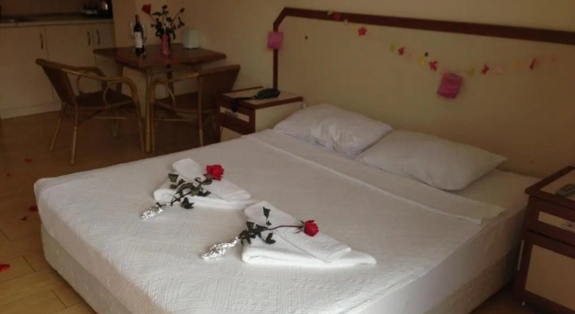 Студия Zeytin Apart Otel