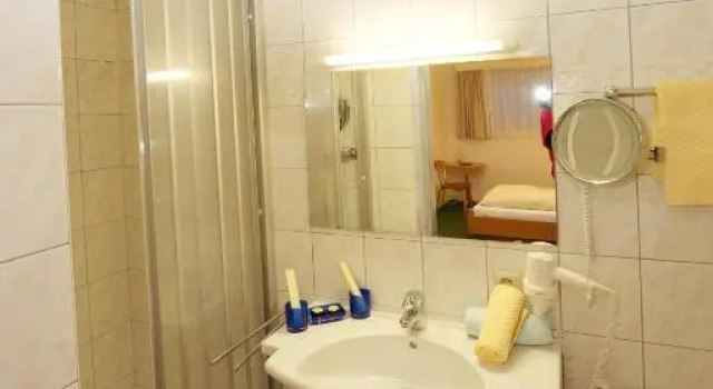 Двухместный номер Standard Цокольный этаж Hotel Tristkogel