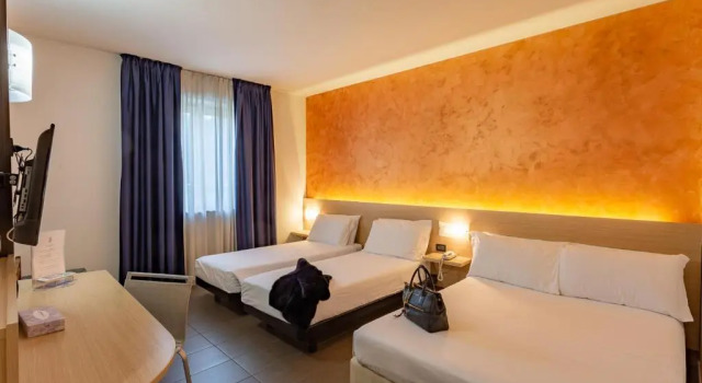 Четырёхместный номер Standard Hotel Ambra