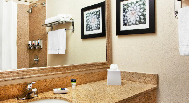 Четырёхместный номер Standard Four Points by Sheraton Tucson Airport