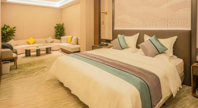 Люкс Luohe Junhao Licheng Hotel
