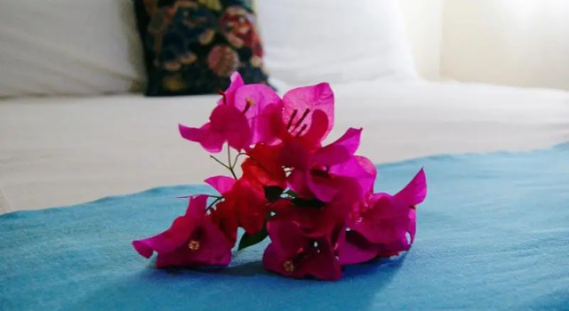 Двухместный номер Standard с балконом La Concha Beach Hotel & Club
