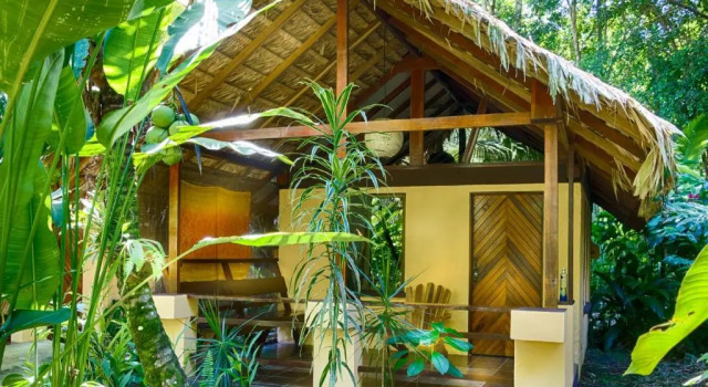 Бунгало Superior Caribe Town Bungalows