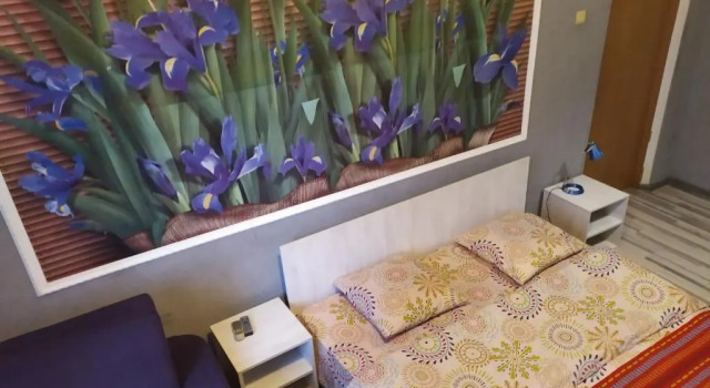 Двухместный номер Standard Mini Hotel na Gasheka