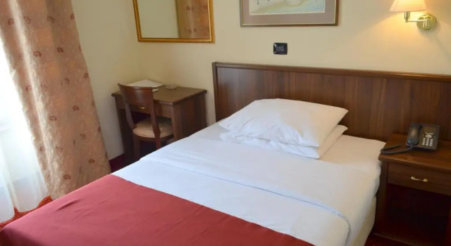 Одноместный номер Standard Hotel Continental