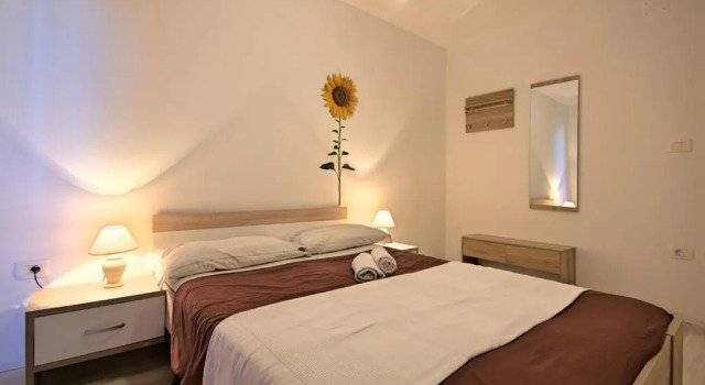 Apartment Zlatna