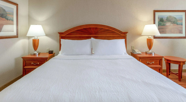 Hilton Garden Inn Richmond South/Southpark, Rezerwuj Hotel Colonial Heights Wirginia