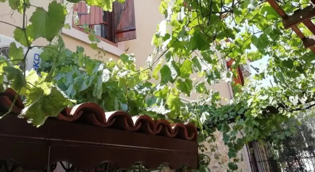 Marti Deluxe Boutique Hotel