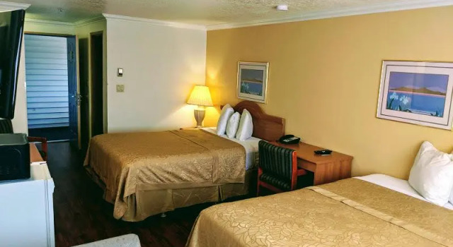 Deluxe suite Budget Inn