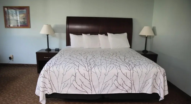 Двухместный люкс Standard Gettysburg Inn and Suites