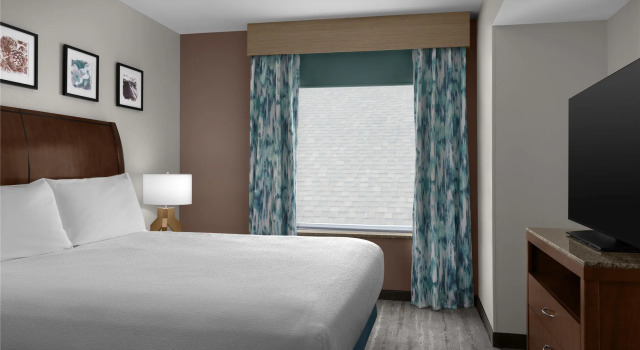 Двухместный люкс Hilton Garden Inn Greensboro Airport