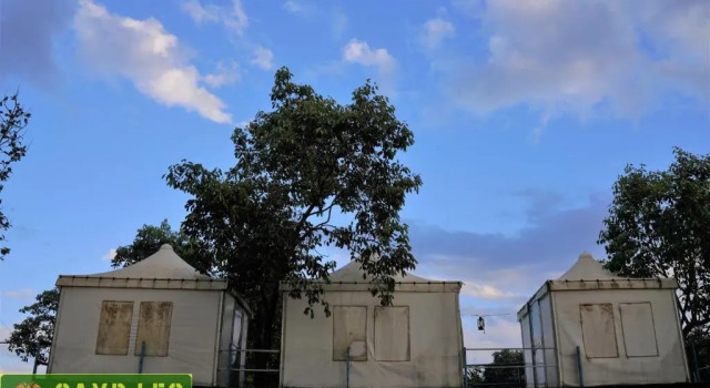 Gir Pride Resort, Prenota Resort Sasan Gujarat