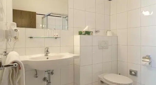 Номер Standard Hotel Zunftstube