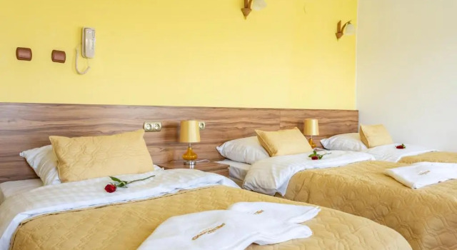 Трёхместный номер Standard Hotel Góralski Raj