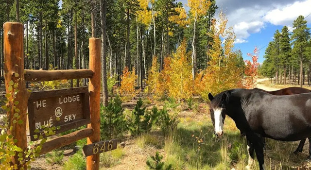 Коттедж Blue Sky Mountain Ranch