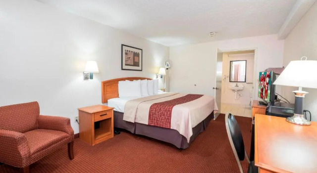 Номер Standard Red Roof Inn Columbus Northeast Westerville