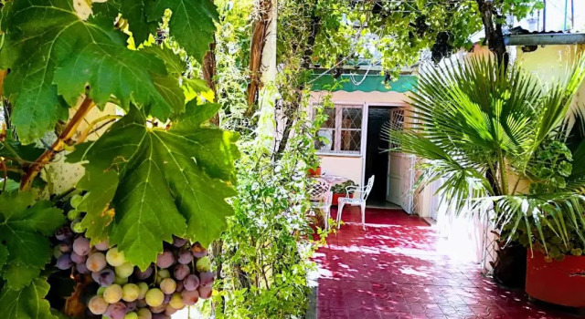 Коттедж Casa Las Parras