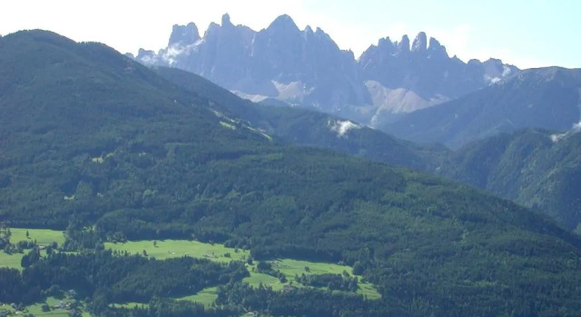 Zehrehof