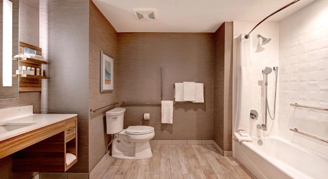 Двухместный полулюкс Hilton Garden Inn Anaheim Resort