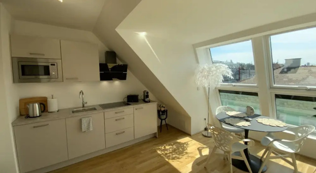 Апартаменты Deluxe Dachgeschoss Loft im Herzen von Wien