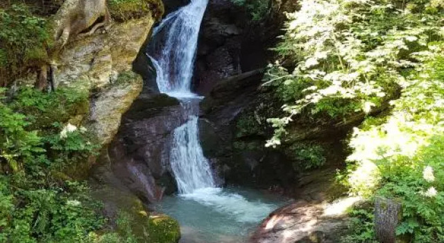 Schwendihof, Prenota Appartamento Appartamenti a Svizzera orientale, Appartamento