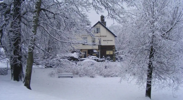 Beechwood
