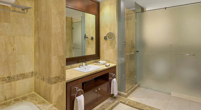 Двухместный номер Deluxe с видом на город Kempinski Palace Cairo