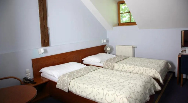 Economy Double room Hotel Čertousy