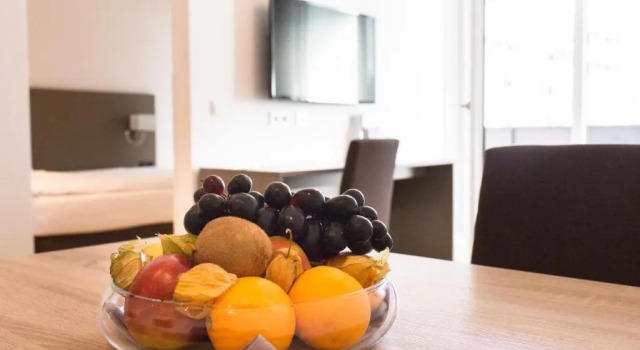 Люкс Vitus Steyr Hotel & SPA Suites