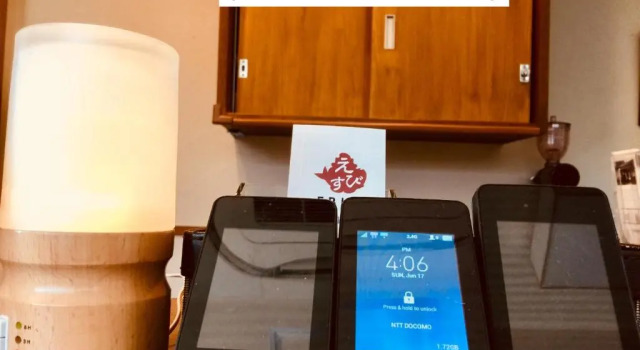 Номер Deluxe Ebisu Ryokan