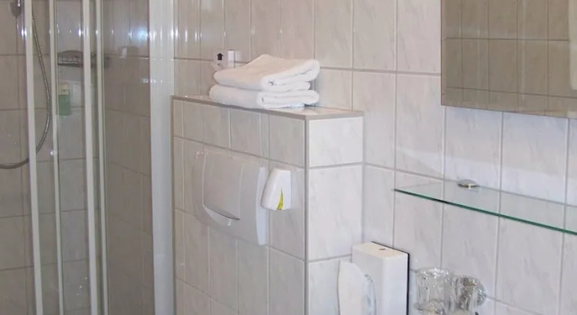 Трёхместный номер Standard Hotel Zur Linde