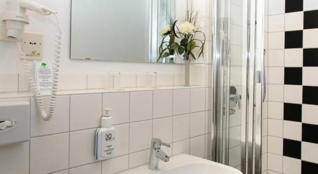 Номер Standard Arthotel ANA Flair