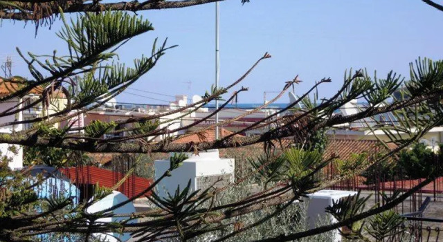 Theo Studios