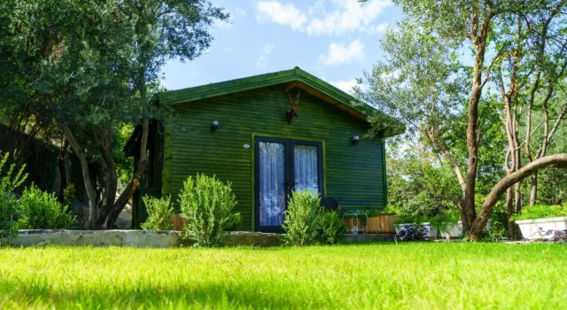 Одноместный люкс Deluxe APA Mountain Lodge