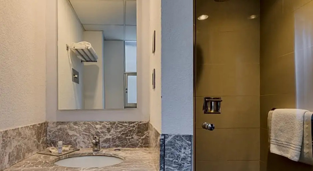 Двухместный номер Deluxe Отель Exe Alameda Reforma