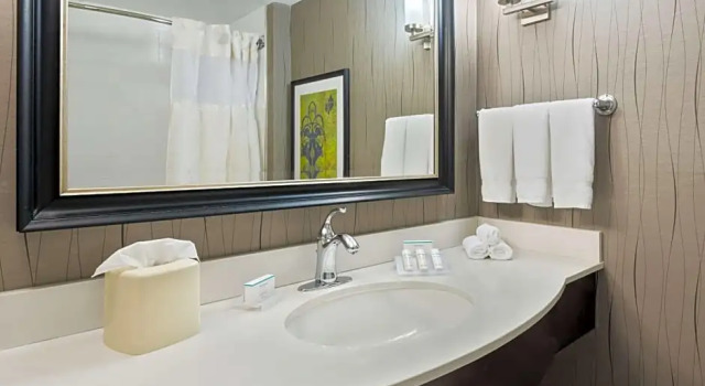 Двухместный полулюкс Hearing Accessible Hilton Garden Inn Westbury