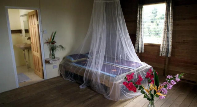 Номер Standard Big Sky Lodge