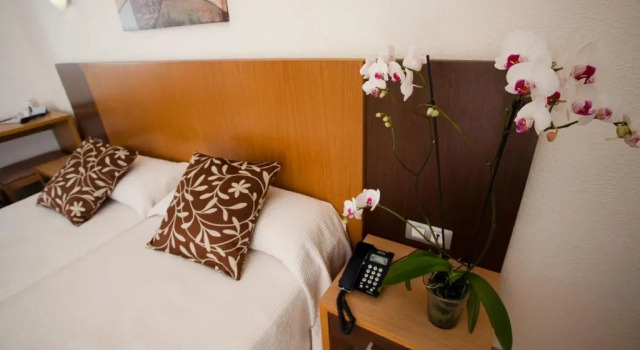 Двухместный номер Standard Hotel Gran Sol