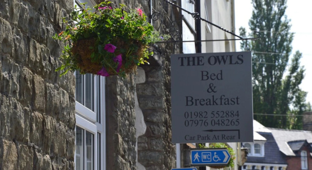 The Owls